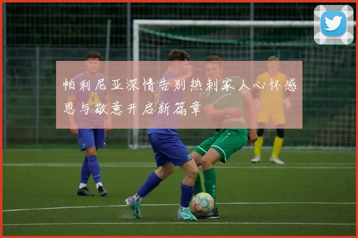 帕利尼亚深情告别热刺家人心怀感恩与敬意开启新篇章