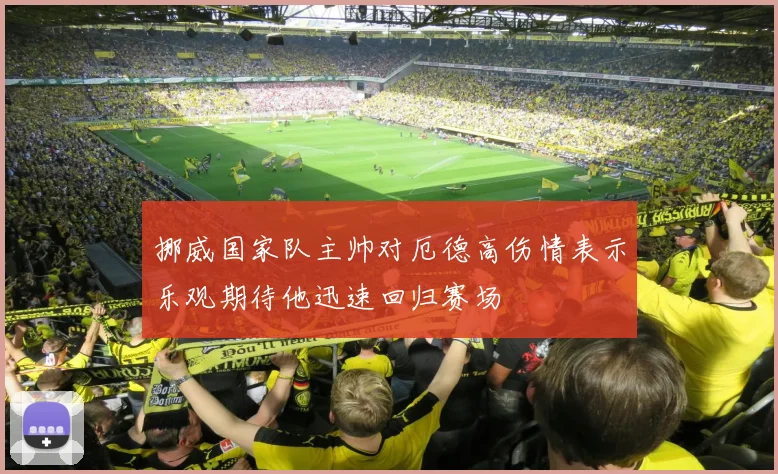 挪威国家队主帅对厄德高伤情表示乐观期待他迅速回归赛场